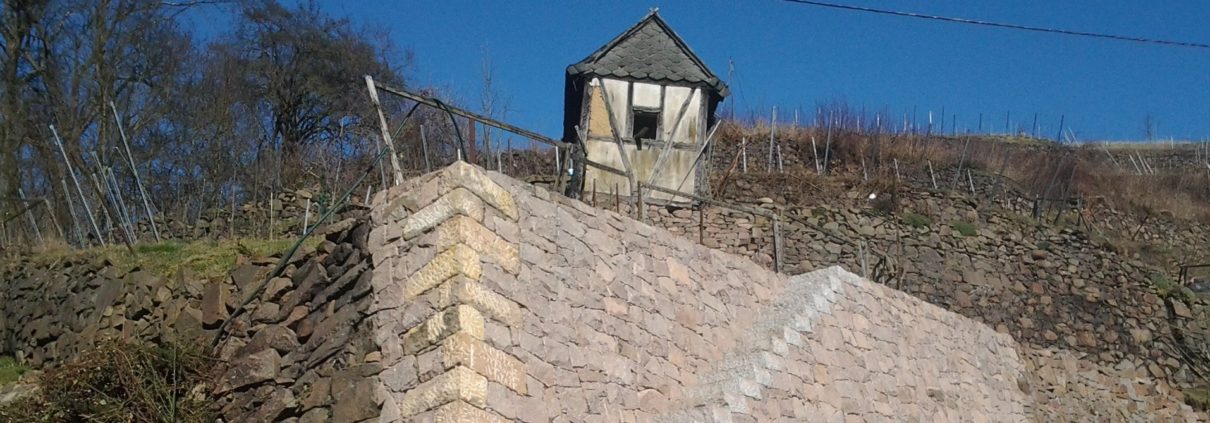 Trockenmauer im Weinberg